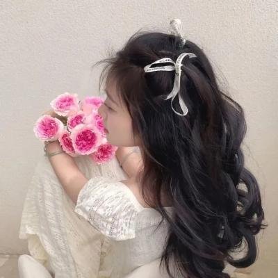 狗狗与我的十个约定