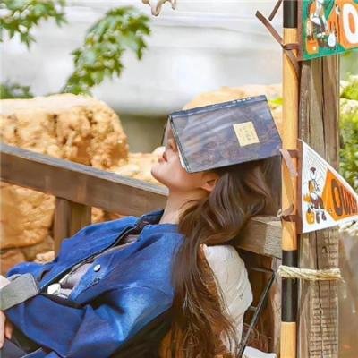 疏雨梧桐浅月朦胧